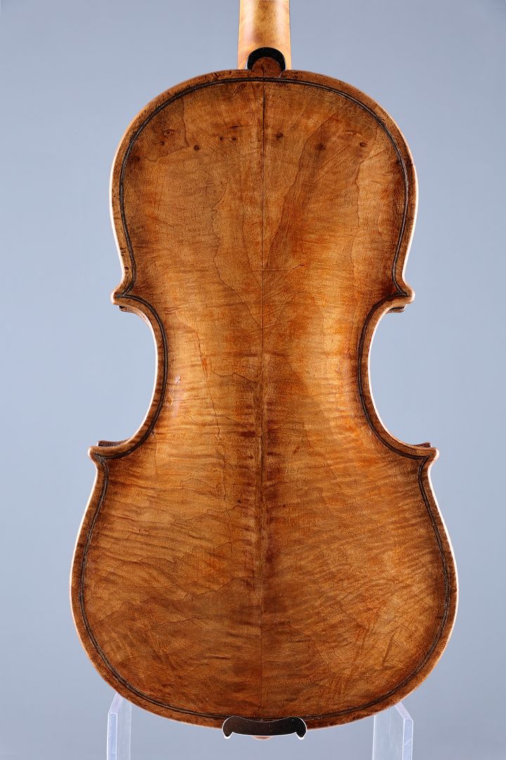 Ciotti Leone - Siena / Italien Anno 1891 - G-659
